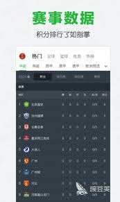 法甲最贵非巴黎球员阵容揭晓 格林伍德与雅凯领衔